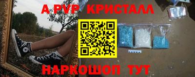 дурь Гай
