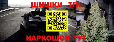 дурь Гай