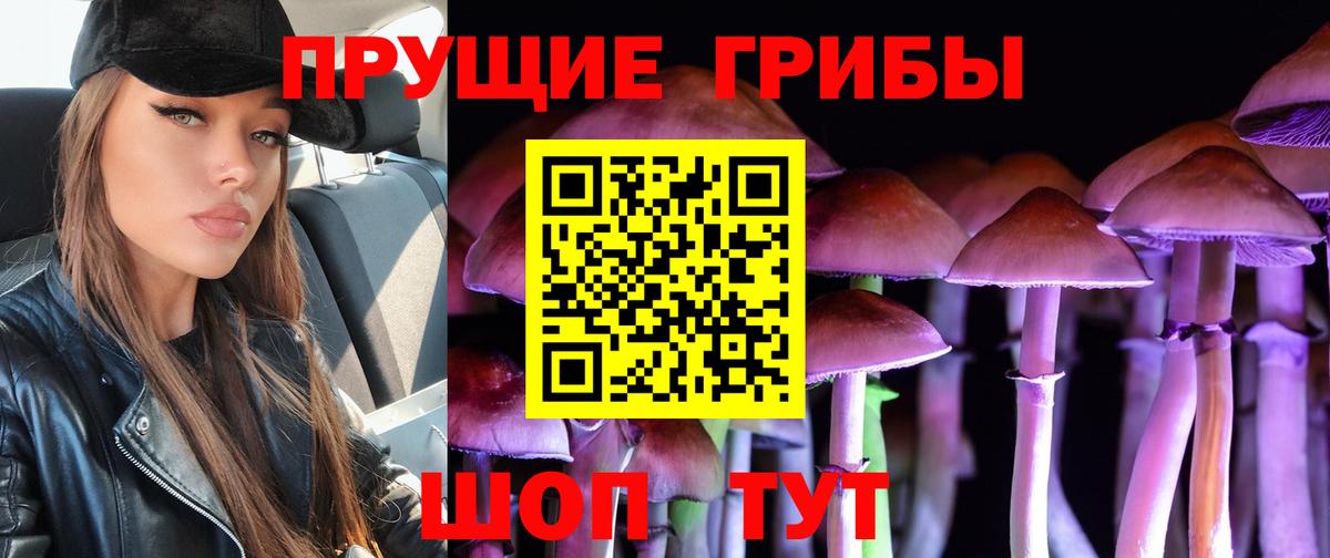 Галлюциногенные грибы Psilocybe  Вход с VPN  Канаш 