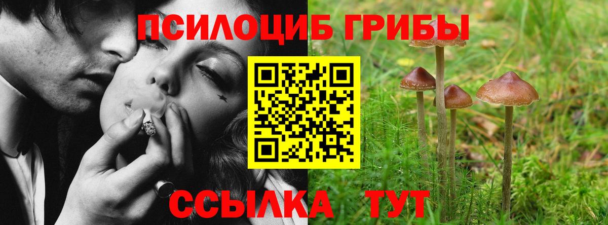 Псилоцибиновые грибы прущие грибы Канаш